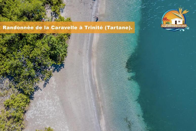 F3 Hibiscus - Piscine Chauffee - Vue Mer - 9 Min De La Plage - Ti Zwezo Paradi ラ・トリニテ エクステリア 写真