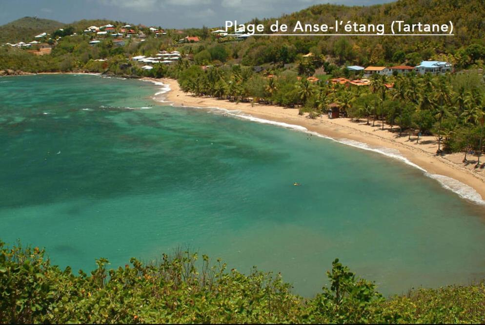 F3 Hibiscus - Piscine Chauffee - Vue Mer - 9 Min De La Plage - Ti Zwezo Paradi ラ・トリニテ エクステリア 写真
