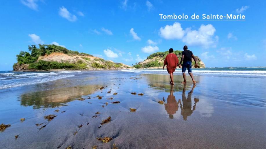 F3 Hibiscus - Piscine Chauffee - Vue Mer - 9 Min De La Plage - Ti Zwezo Paradi ラ・トリニテ エクステリア 写真