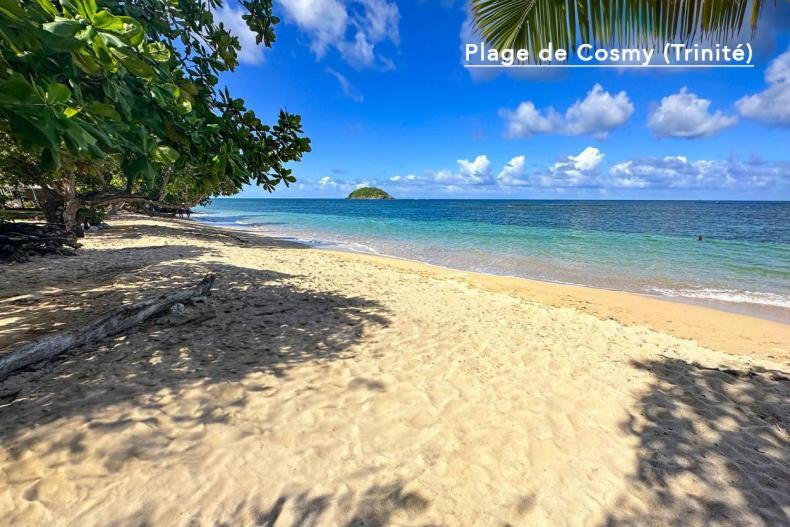 F3 Hibiscus - Piscine Chauffee - Vue Mer - 9 Min De La Plage - Ti Zwezo Paradi ラ・トリニテ エクステリア 写真