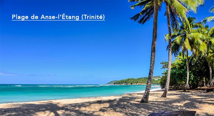 F3 Hibiscus - Piscine Chauffee - Vue Mer - 9 Min De La Plage - Ti Zwezo Paradi ラ・トリニテ エクステリア 写真