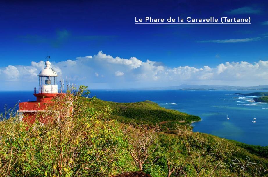 F3 Hibiscus - Piscine Chauffee - Vue Mer - 9 Min De La Plage - Ti Zwezo Paradi ラ・トリニテ エクステリア 写真